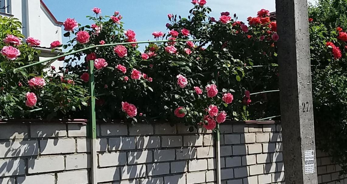 Hotel Dacha V Arkadii Oděsa Exteriér fotografie